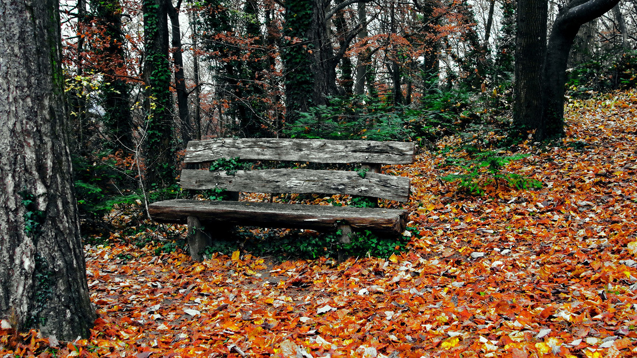 Microsoft's New Privacy Tactic: (Even) More Transparency