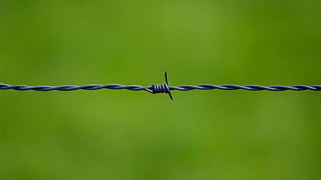 Microsoft Announces the Windows Bounty Program