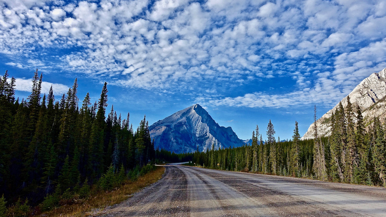 Microsoft Quickly Spins Up Another Near-Final Windows 10 Insider Preview Build