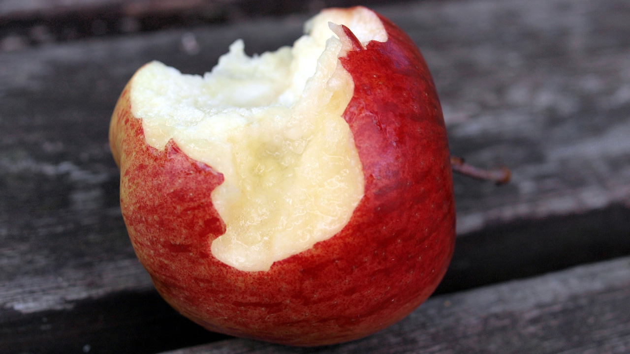 Apple and Samsung, Going It Alone