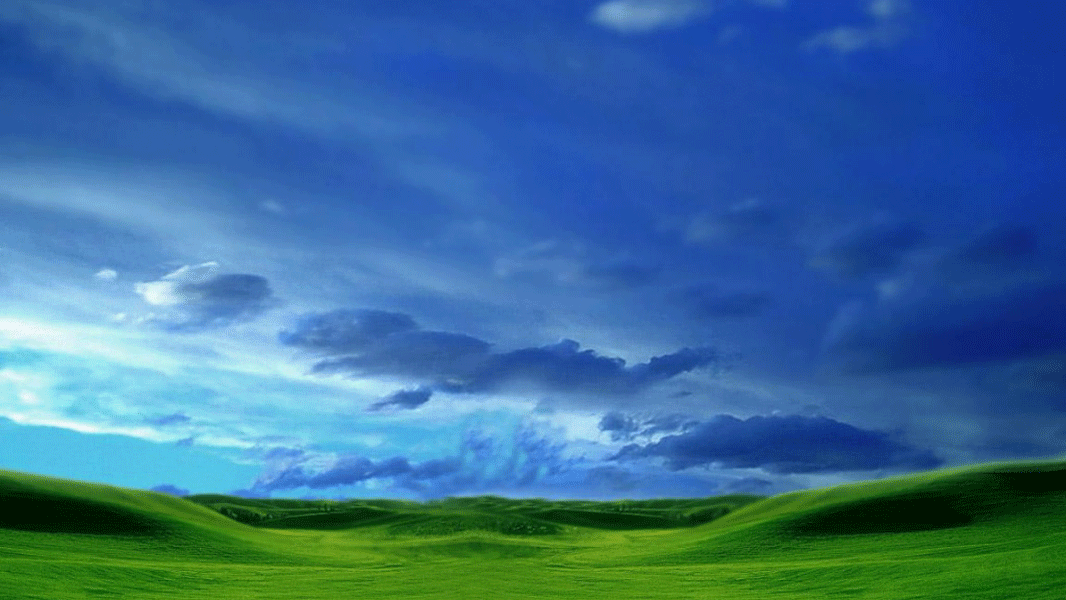 The Future of Windows?