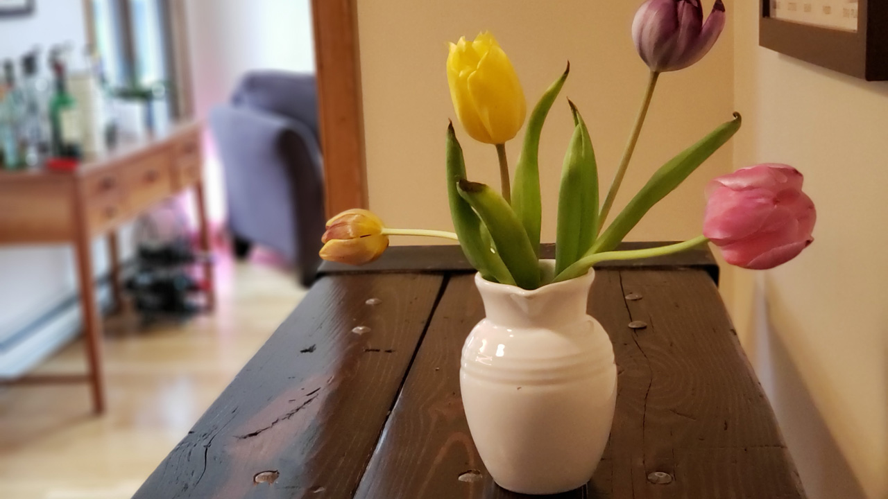 Samsung Galaxy S9+ Review Part 2: Camera