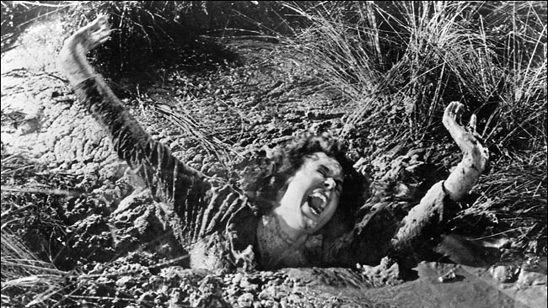 What Led to this Mess