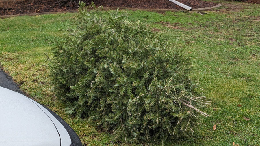 And, it's time for the next holiday...