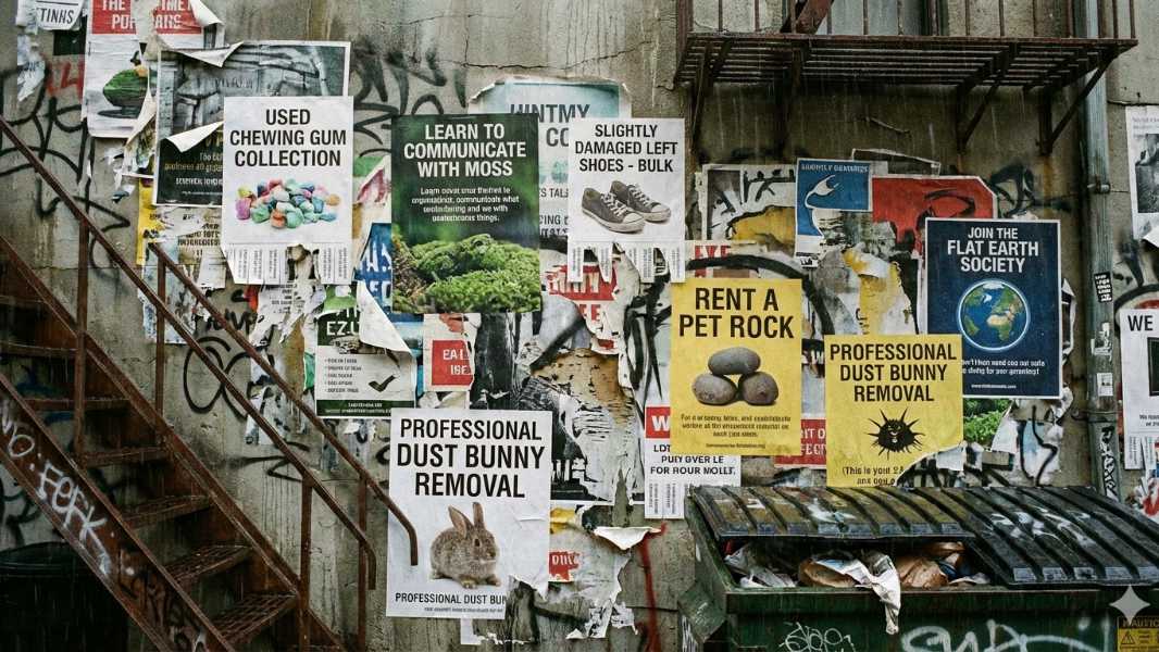 From the Editor’s Desk: Noise