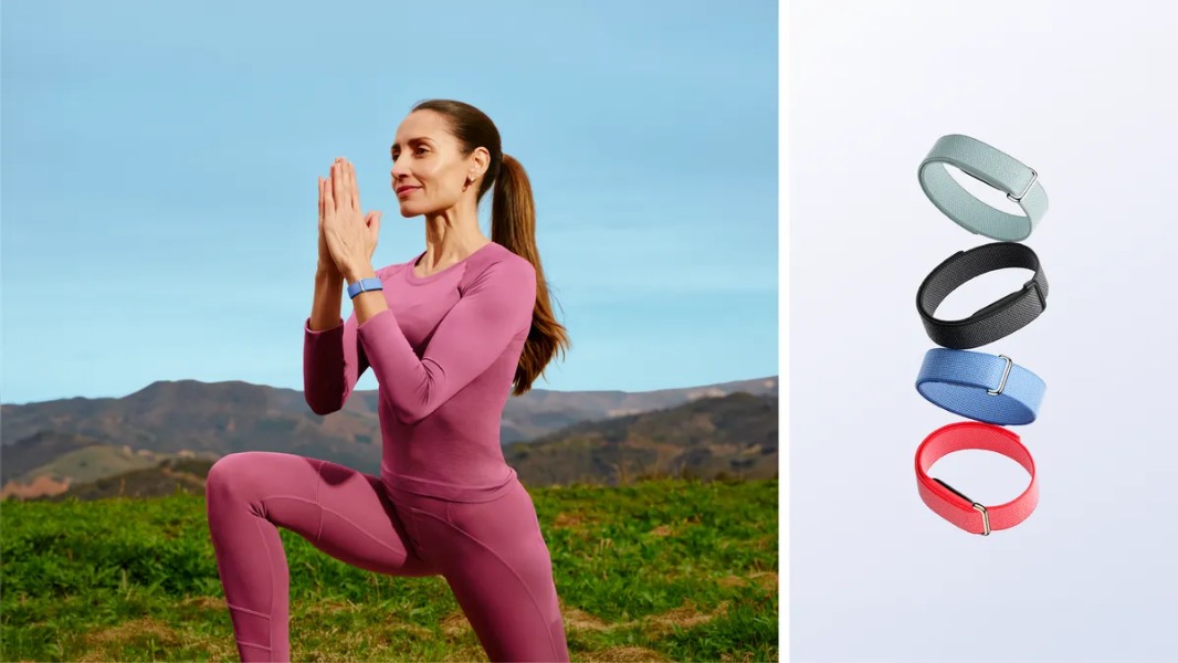 Google Health Fitbit Air