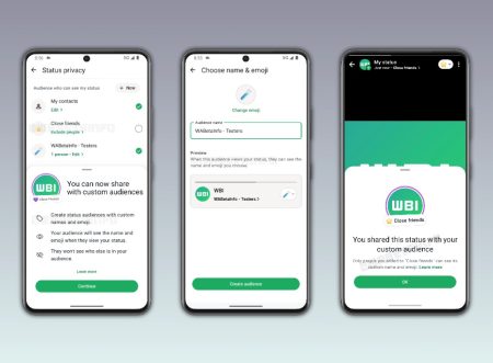 WhatsApp Status custom audience lists