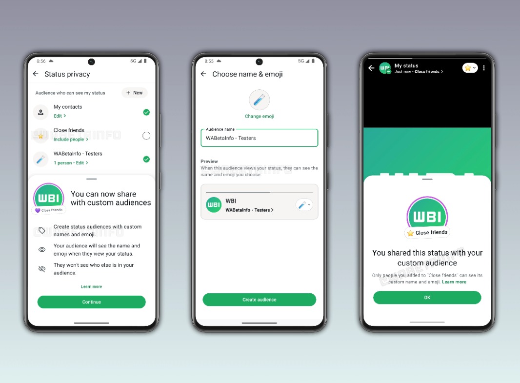 WhatsApp Status custom audience lists