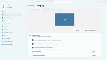 Multiple Displays (2026)