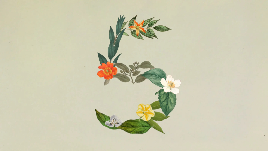 Anthropic Releases Claude Sonnet 5 for Agentic Work