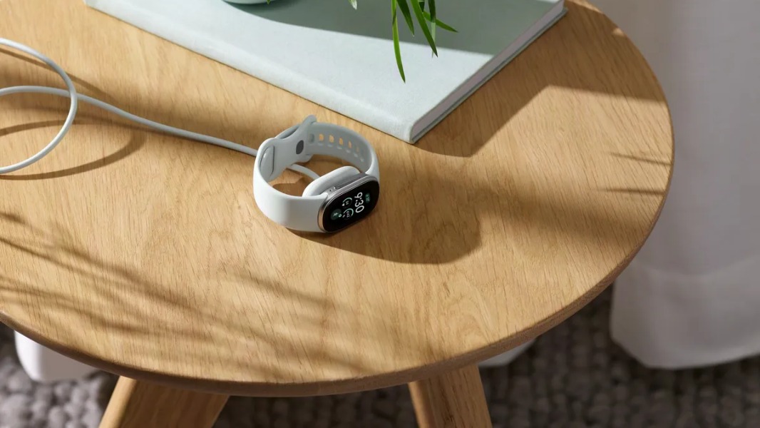 Google Fitbit Edge